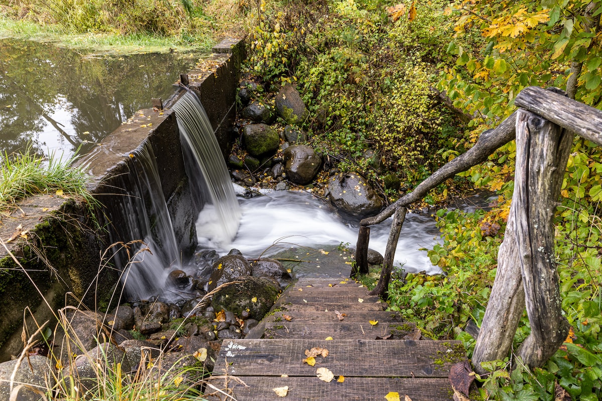 A serene scene features a gentle waterfall cascading over a rocky ledge into a shallow pool. Wooden steps lead down to the water's edge, framed by lush greenery and autumn foliage, with leaves scattered along the pathway.