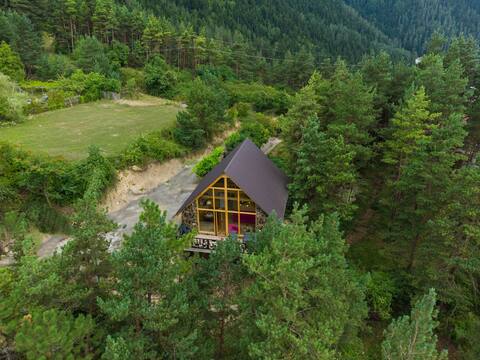 EcoCottage into the woods