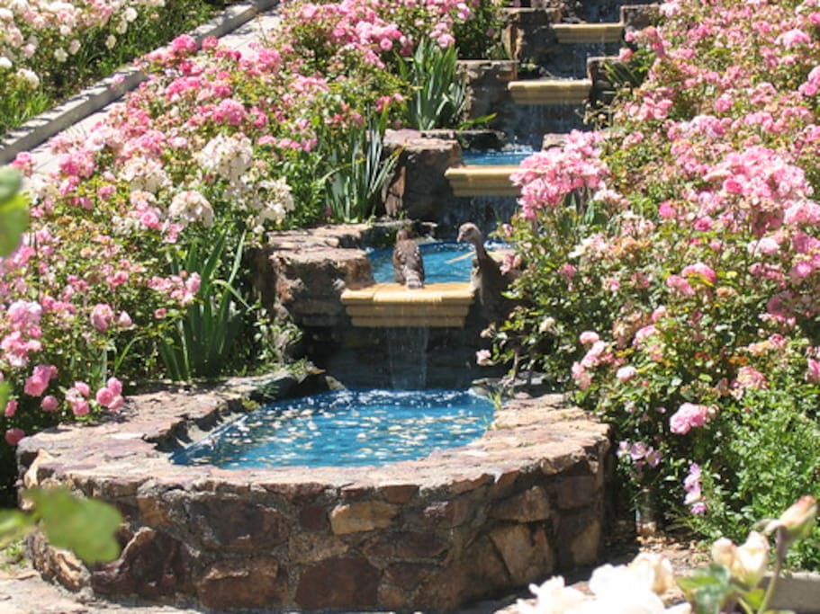 Airbnb Rose Garden Retreat: Modern 2BR, Parking Available