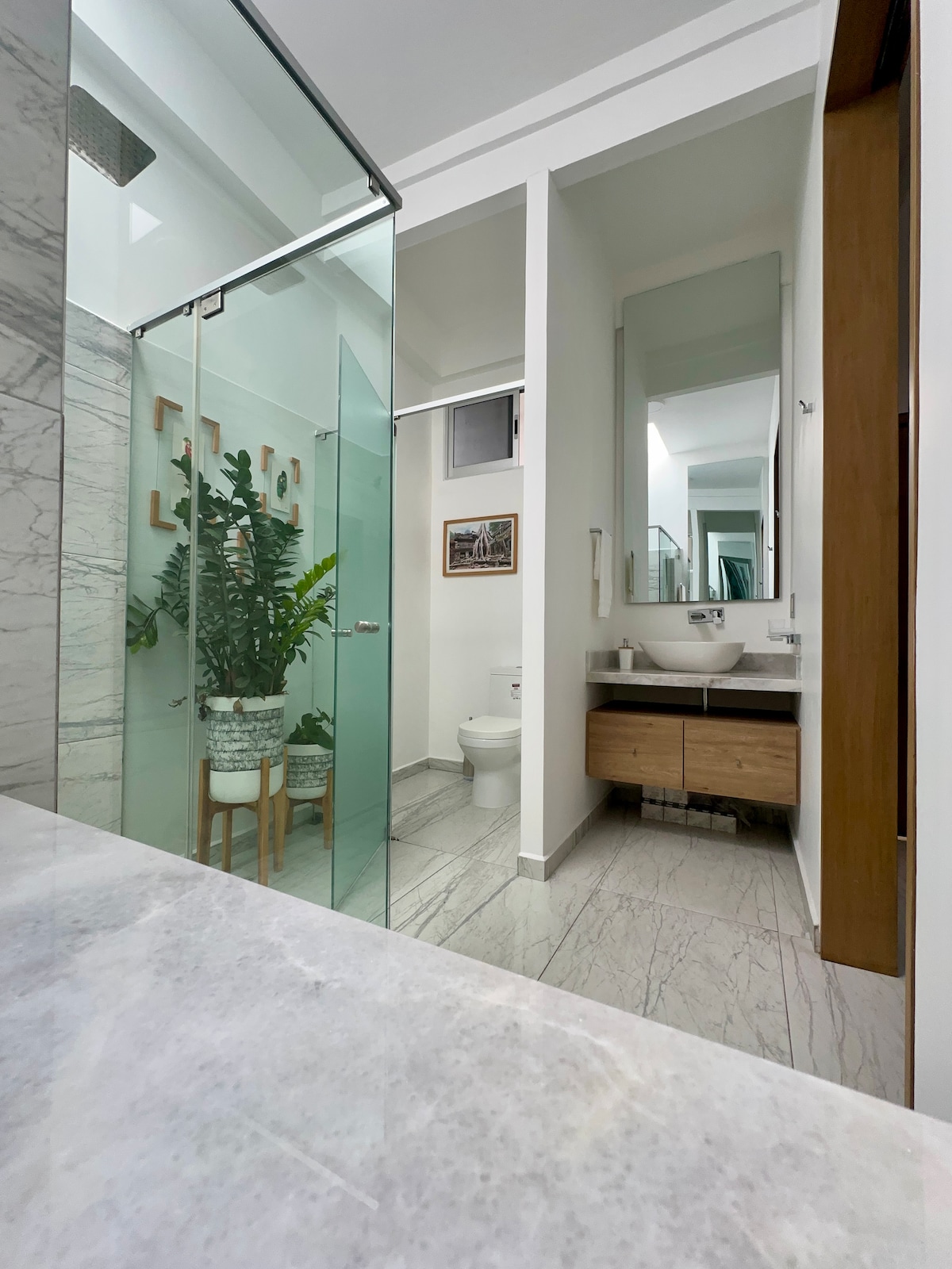 A modern bathroom features a glass shower enclosure with dual shower heads. A sleek wooden vanity with a sink is positioned against a marble wall. Green plants are placed in decorative pots, adding a refreshing touch to the space.
