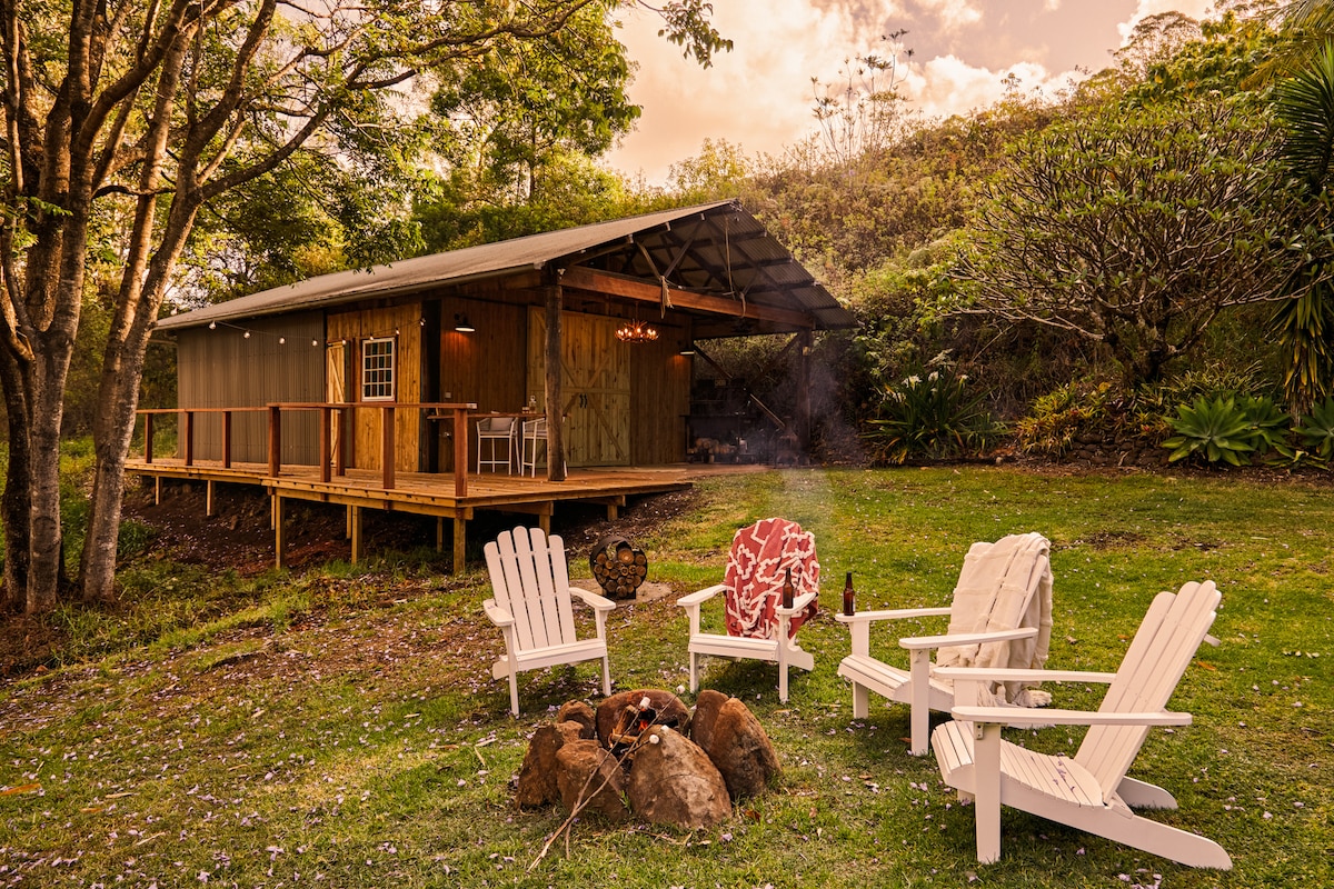 A charming outdoor setting features an inviting fire pit surrounded by four adirondack chairs on a grassy lawn. A rustic cabin with a porch is positioned in the background, offering a serene backdrop of lush greenery and trees.