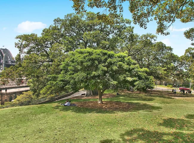 Renovated Warehouse Conversion In Heart Of Sydney!