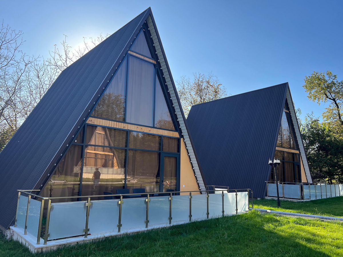 Two modern A-frame cabins are featured, each with large windows and covered in dark, corrugated siding. A glass railing surrounds a grassy area in front, and trees provide a natural backdrop against a clear blue sky.