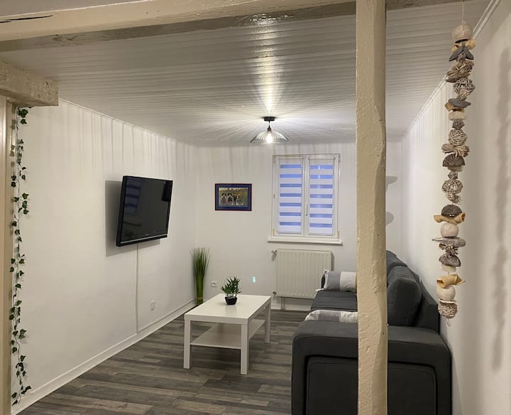 Jolie Maison Typiquement Alsacienne Près De Colmar - Selva Negra
