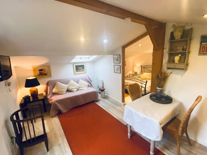 Studio Calme Proche De La Base – Temple-sur-lot - Latour-Marliac