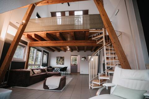 Idyllic duplex house