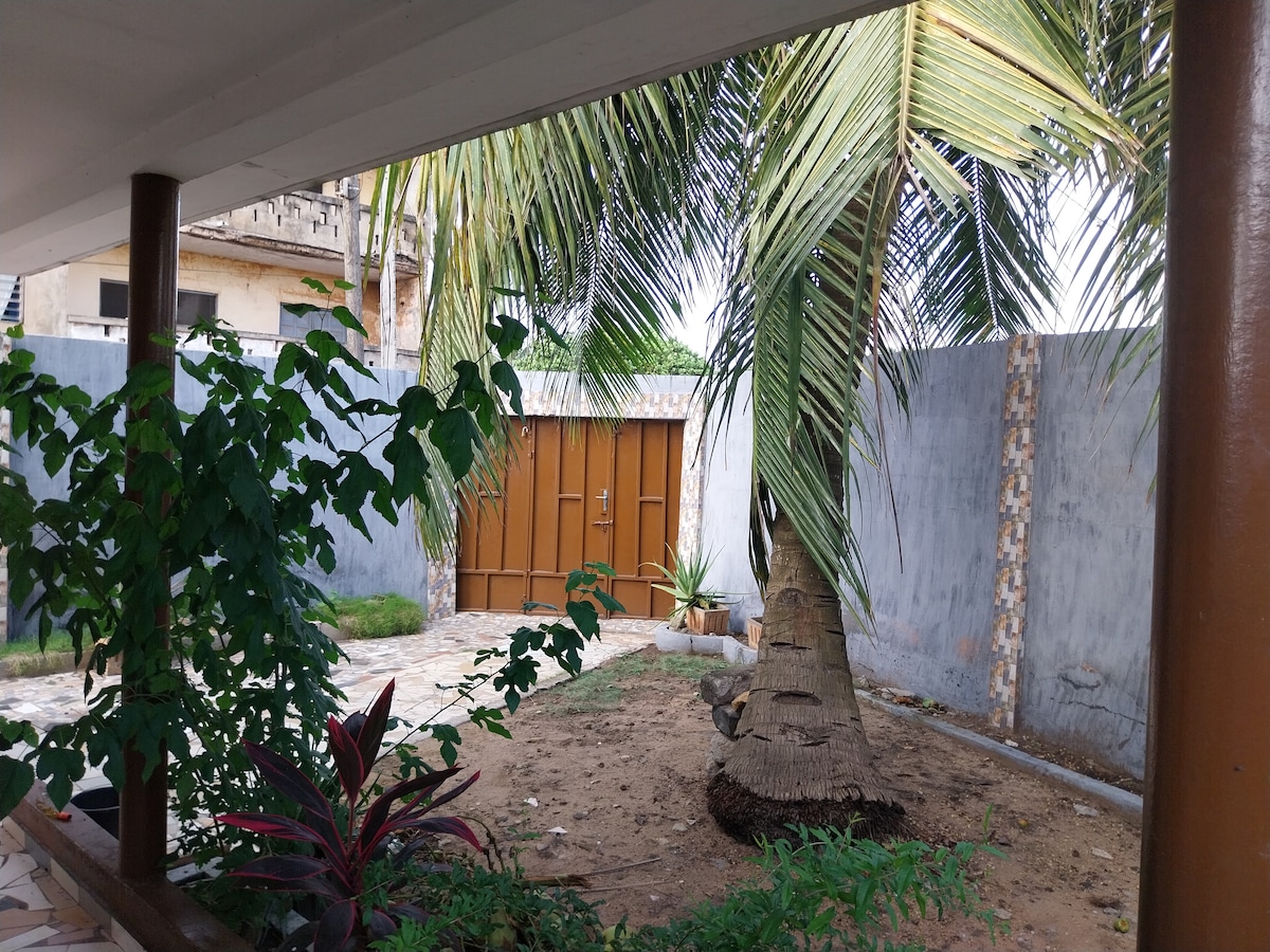 A sheltered outdoor area features a tall palm tree, surrounded by green plants and a stone pathway. A weathered wall forms a backdrop, along with a wooden gate visible in the distance. Natural light filters through the leaves, creating a serene setting.
