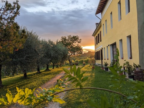 Castel San Mauro - villa in a winery