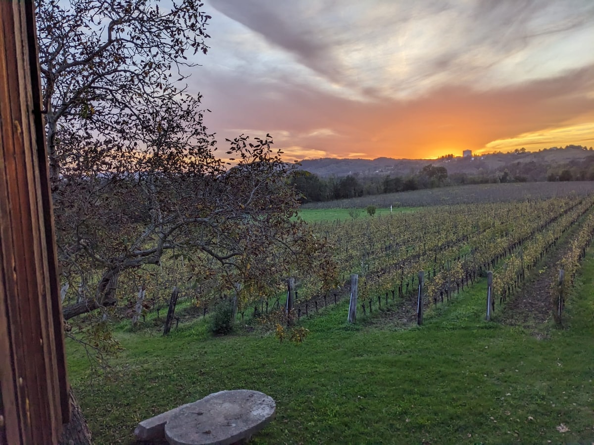 A serene view of stretching vineyards is captured at sunset, with gentle rolling hills in the background. The warm glow of the setting sun casts a soft light over the landscape, framed by a tree and stone table in the foreground.