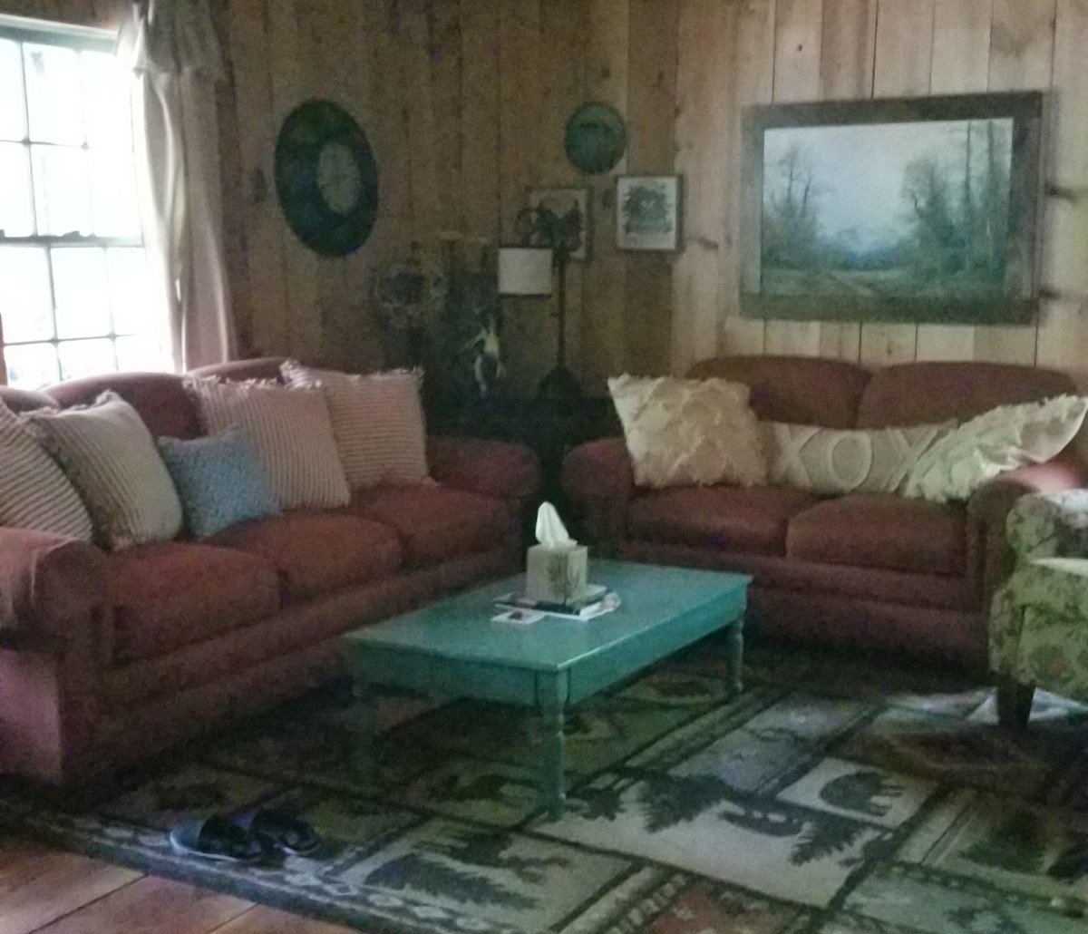 A cozy living area features two comfortable sofas adorned with patterned throw pillows. A rustic coffee table is positioned at the center, while a colorful area rug adds warmth. Natural light filters through a window, illuminating the wooden paneling and framed artwork on the walls.