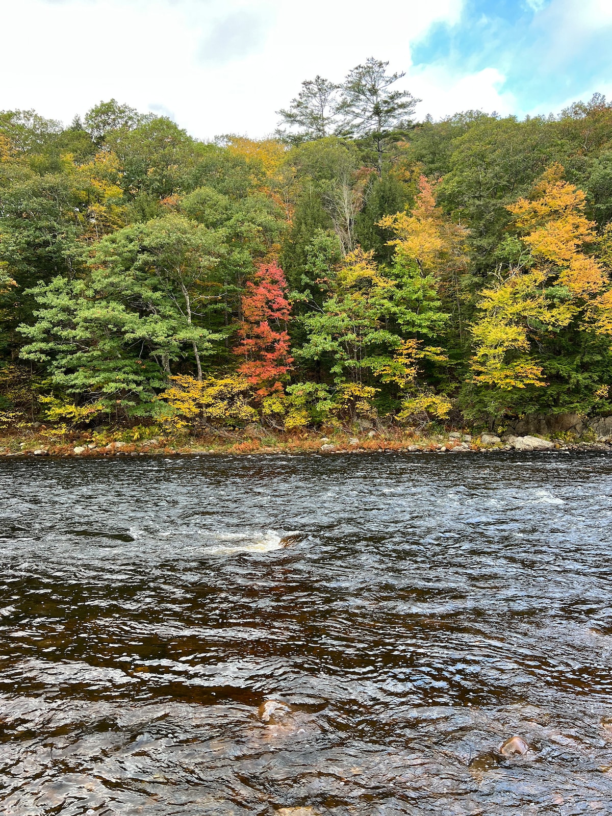 Log Cabin Sacandaga River Peaceful & Private Cabins for Rent in