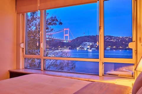 Charming 6 BR Apartment near the Bosphorus