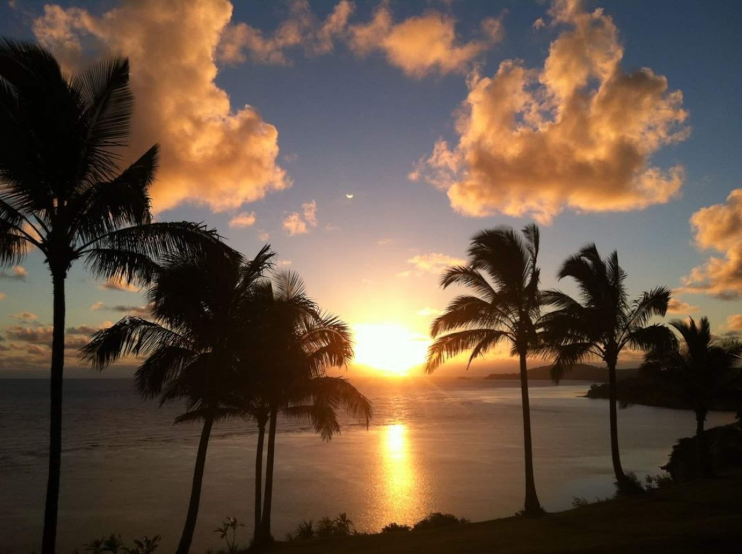 Oceanfront, Modern 2 bed w/ Panoramic Views, AC - Image 35