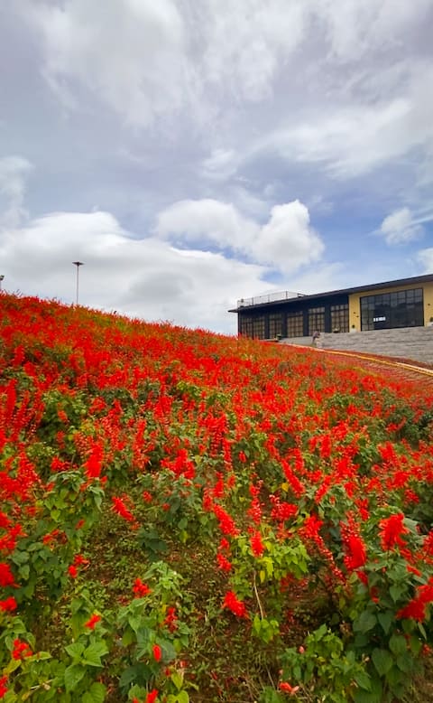 Emmanuel's Farmhouse