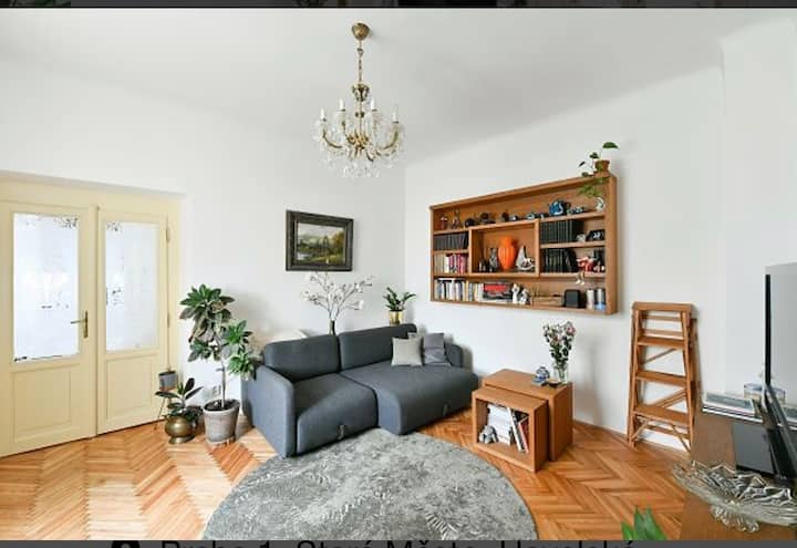 Old Town Apartment - Praag
