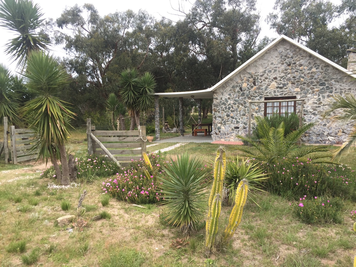 Airbnb performant: Mar Felicitá Cabin à Sauce De Portezuelo