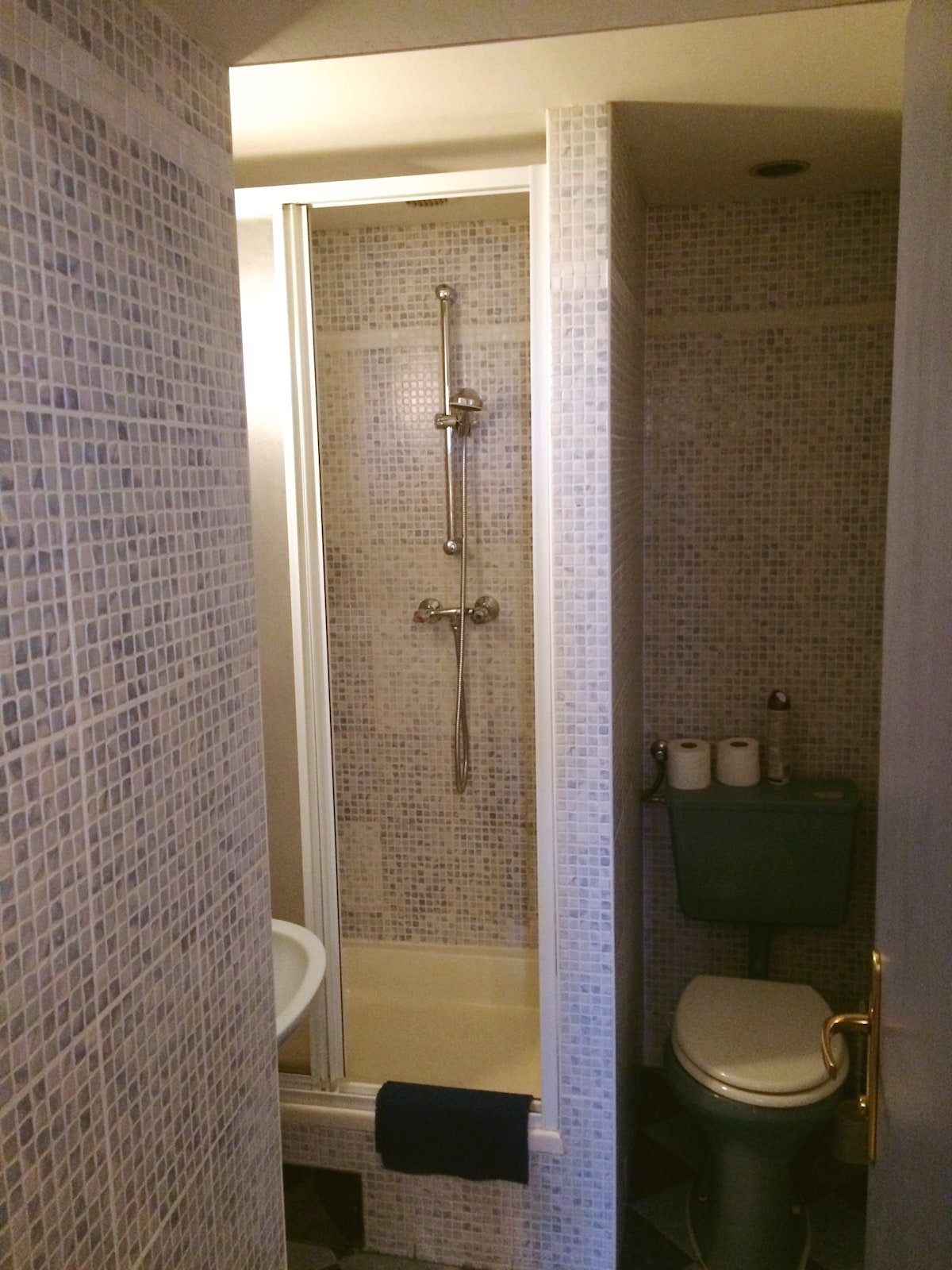 A compact bathroom is displayed, featuring a glass shower enclosure with a handheld showerhead. The walls are adorned with small, patterned tiles. A toilet is positioned beside a small sink, with toiletries neatly arranged on a shelf above the sink.
