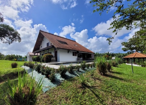 The exterior of the house is surrounded by lush green grass and vibrant landscaping, featuring a variety of plants. A clear blue sky with scattered clouds complements the traditional roofline, while a patio is visible along the side, providing ample outdoor space.