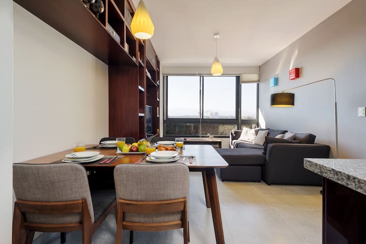 Grand apartment in Polanco