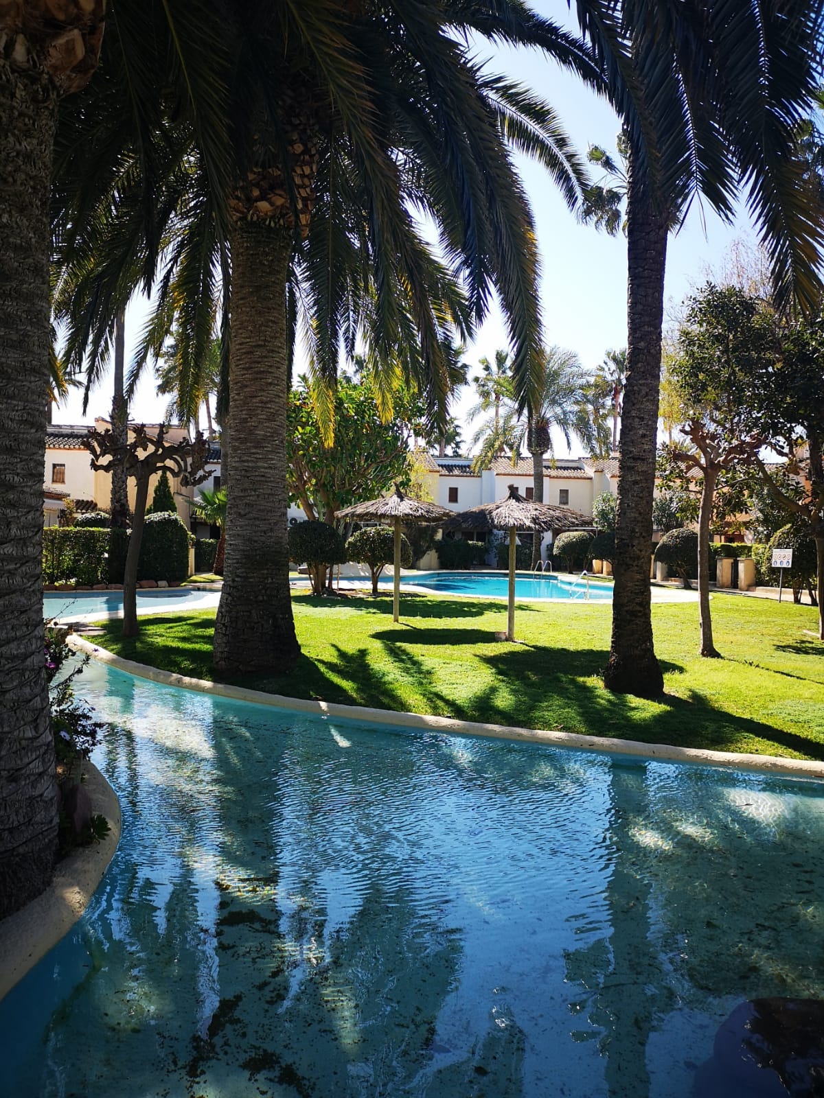A tranquil garden area is highlighted by lush palm trees and manicured green lawns. A serene swimming pool meanders through the space, reflecting sunlight on its surface. Thatched umbrellas provide shade in designated relaxation spots, enhancing the peaceful ambiance of the outdoor oasis.