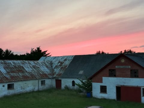 Top performing Airbnb: Farm in the dunes / near the sea in Hjørring
