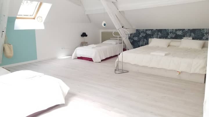 chambre 3: lit king size (200x200) et 3 lits simples (90)
