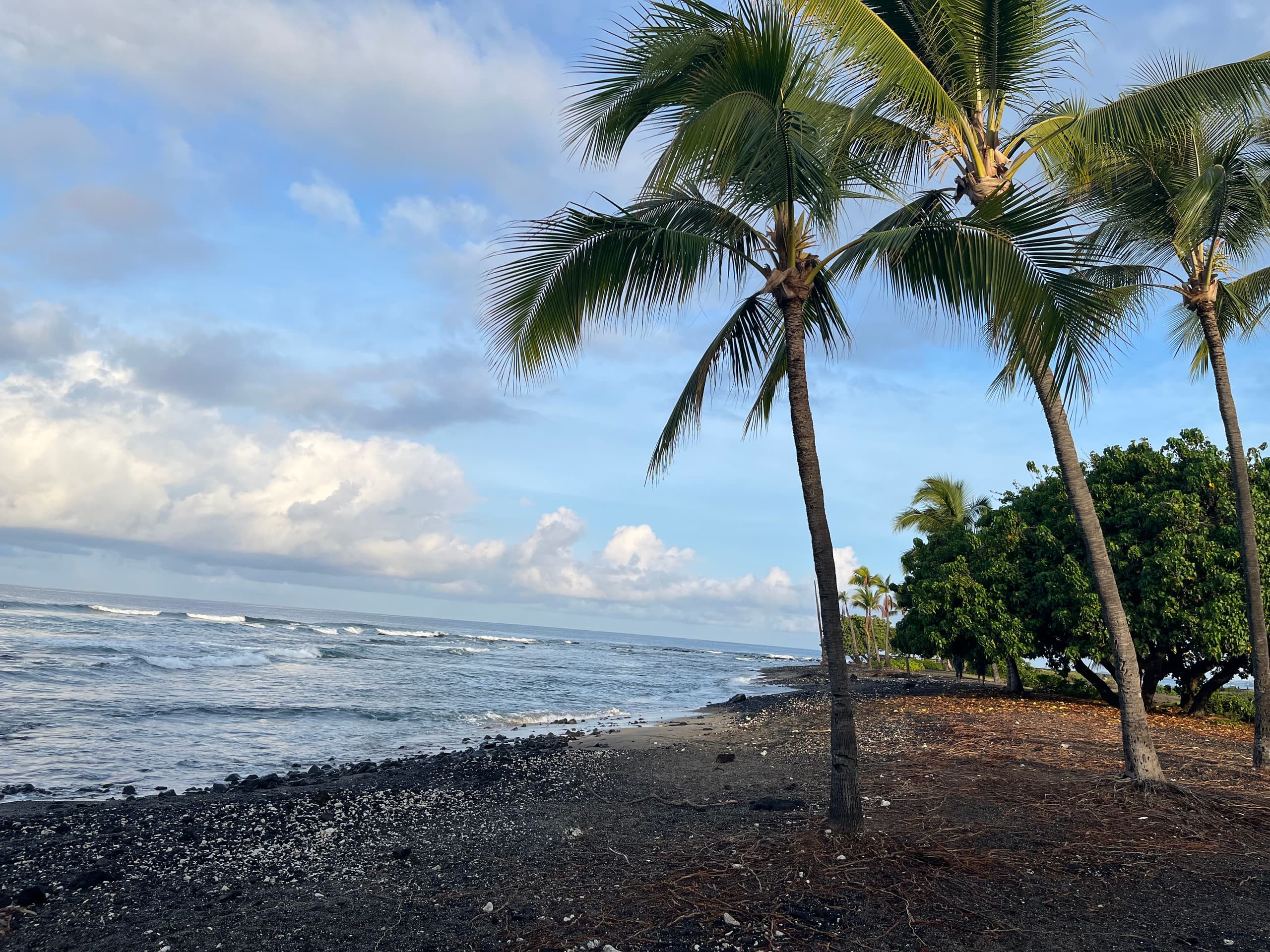 Townhouse in Kailua-Kona · ★4.62 · 2 bedrooms · 2 beds · 2 private baths - Image 50