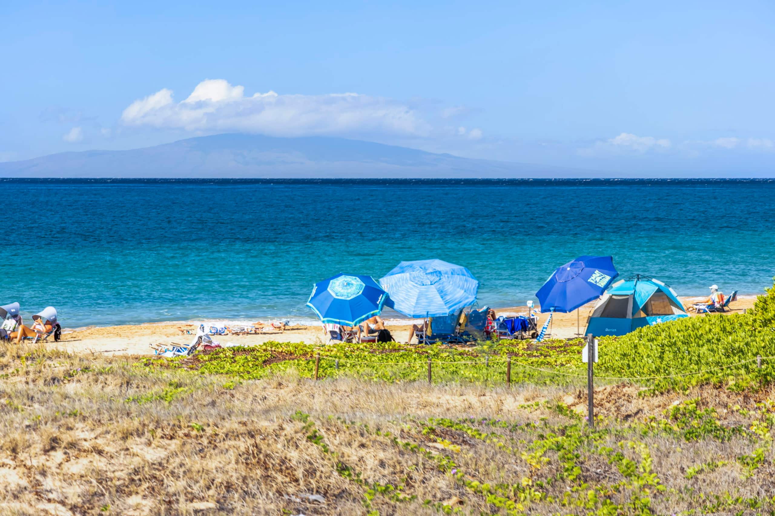 Condo in Kihei · ★4.94 · 1 bedroom · 2 beds · 1 private bath - Image 36