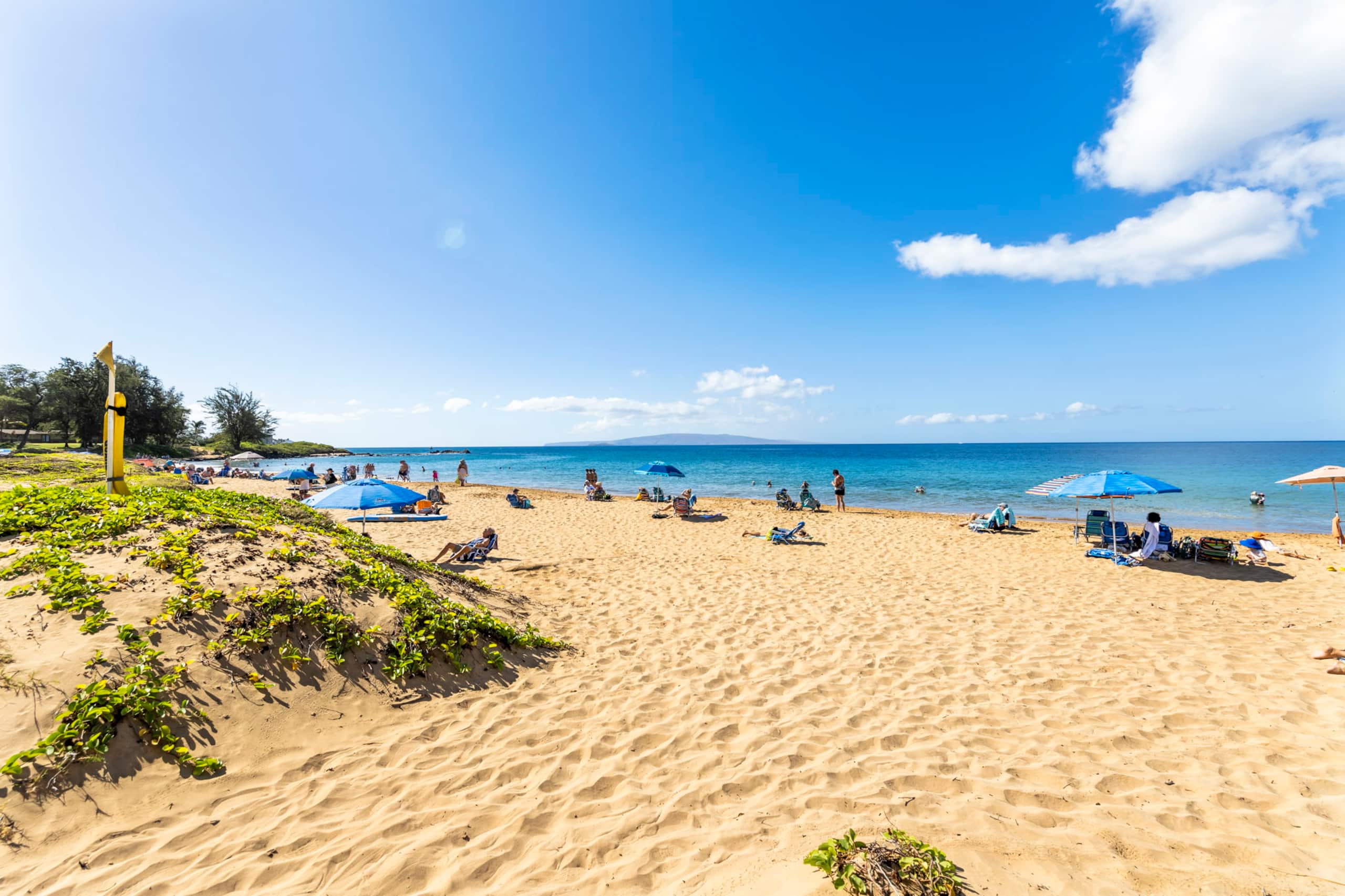 Condo in Kihei · ★4.94 · 1 bedroom · 2 beds · 1 private bath - Image 33
