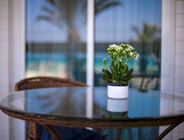 Lanai – Apart. Frontal CL gallery image 3