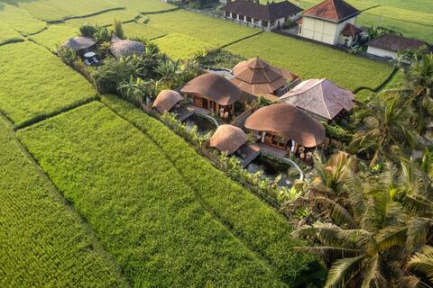 Unique 1BR Bamboo Eco Villa With Ricefield View