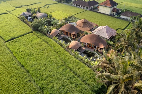 Natural Eco 1BR Bamboo Villa in the rice paddies