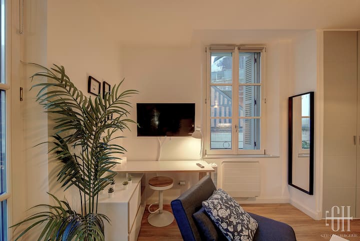 Studio Climatisé - Wifi - Gare à 100m - Tours