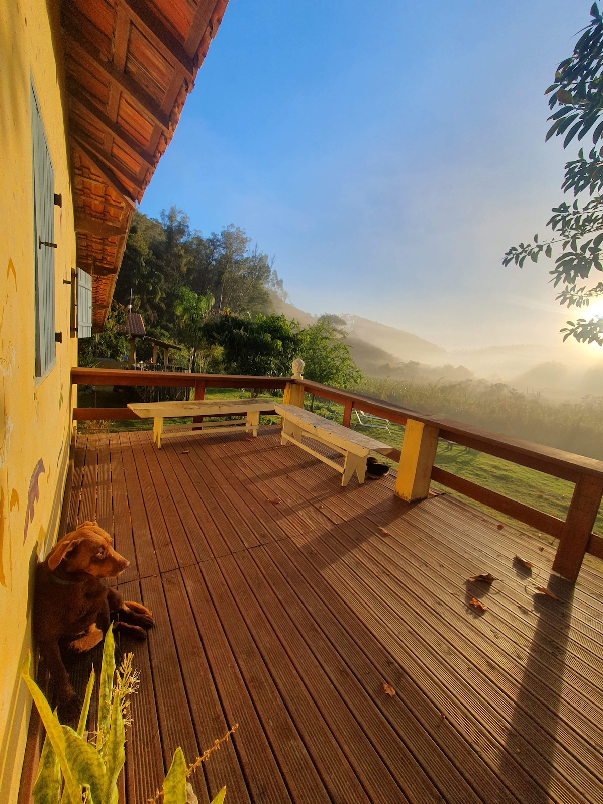 A spacious wooden deck offers scenic views of the surrounding mountains and lush greenery. A friendly dog is seen resting beside a potted plant. The early morning light creates a serene atmosphere, accentuating the natural beauty of the location.