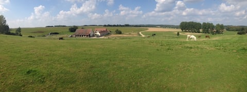 Le Grand Royal – 18th-century farm – pool & llamas