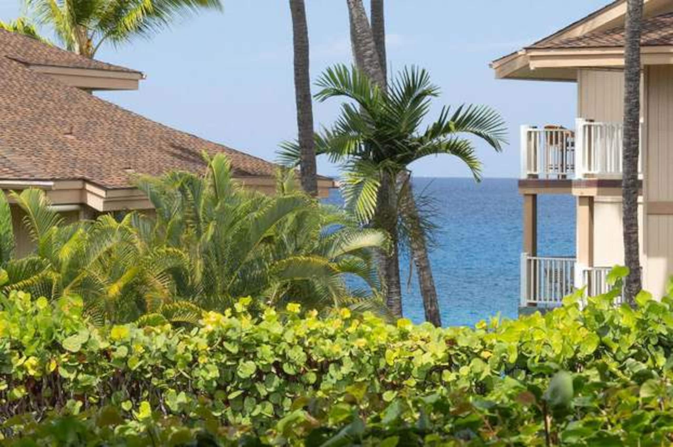 Condo in Kailua-Kona · ★4.94 · 1 bedroom · 2 beds · 1 private bath - Image 1