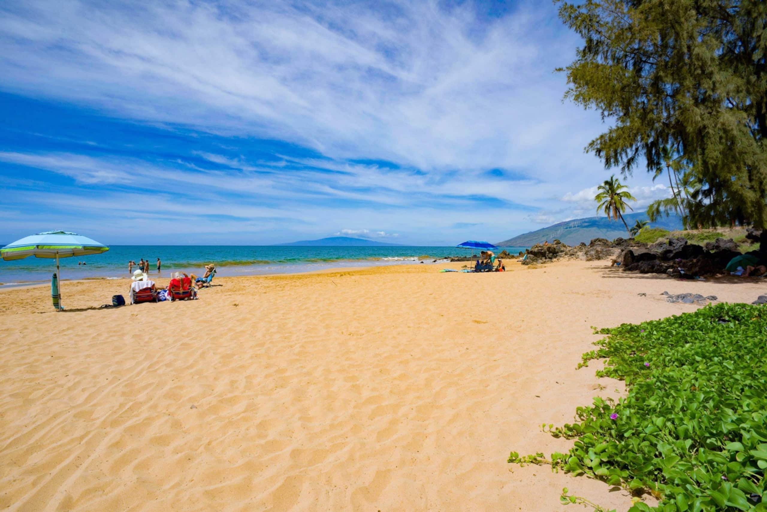 Condo in Kihei · ★4.97 · 2 bedrooms · 4 beds · 2 baths - Image 51