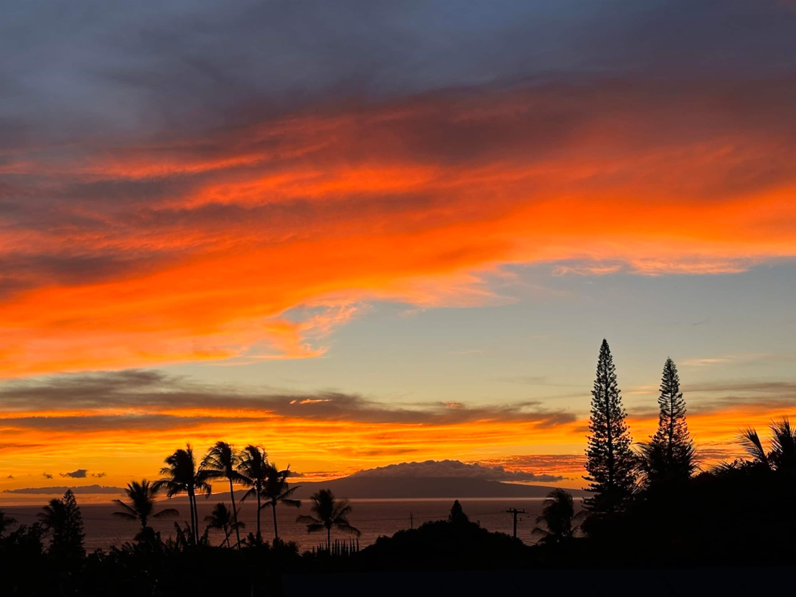 Condo in Kihei · ★4.97 · 2 bedrooms · 4 beds · 2 baths - Image 55