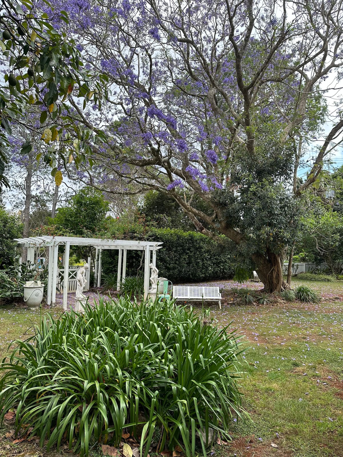 Camellia Cottage — photo via the host's Airbnb listing