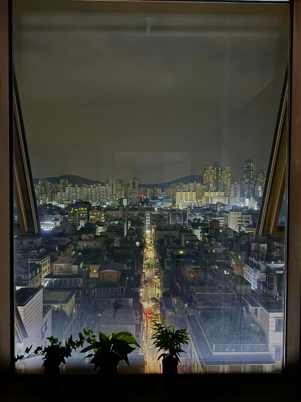A city skyline is displayed through large windows, revealing a vibrant urban landscape at night. The view includes illuminated buildings and bustling streets below, framed by two indoor plants on the windowsill.