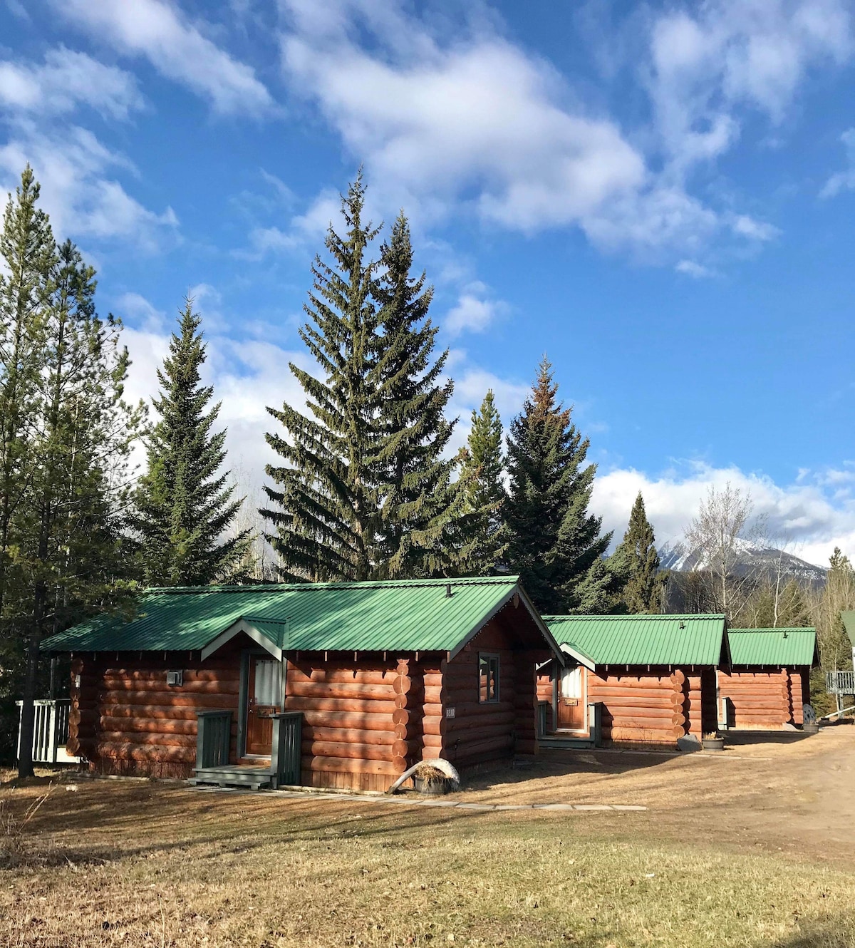 Two log cabins are set among tall pine trees against a blue sky filled with clouds. Each cabin features a green metal roof and a front porch, with a dirt path leading to the entrance of each. The serene natural setting promises a peaceful retreat.