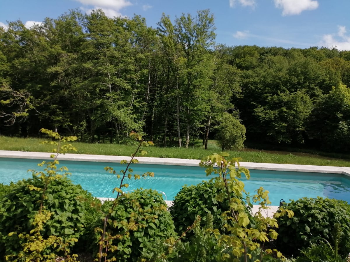 A serene swimming pool is surrounded by lush greenery, with trees and plants lining the edges. The clear water reflects the blue sky and surrounding foliage, creating a peaceful outdoor atmosphere. The natural setting invites relaxation and enjoyment of the tranquil environment.
