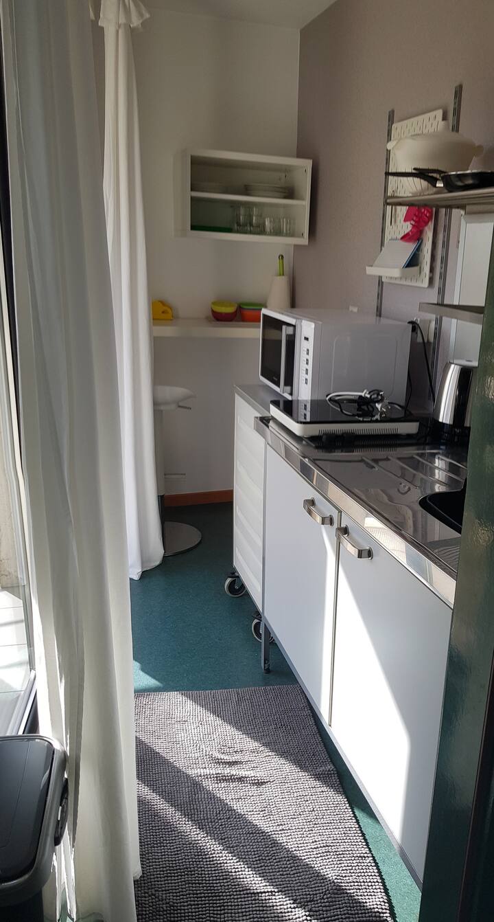 Appartement Indépendant - Erstein