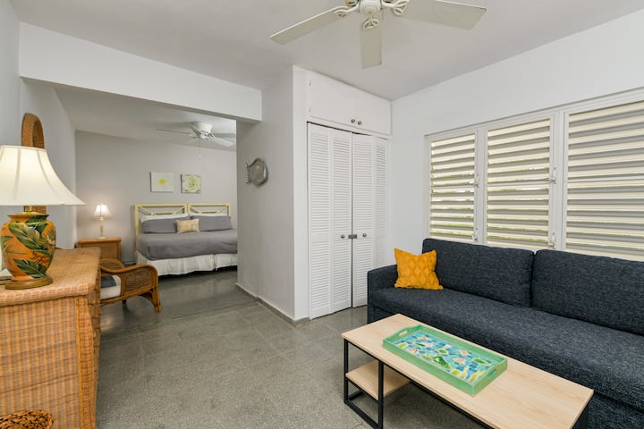 Large third guestroom with King or Twin beds and sitting room with sofa sleeper