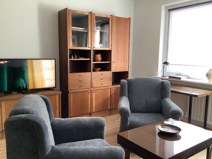 Spacious Apartment 20 Min Walk To Old Town - Vilna