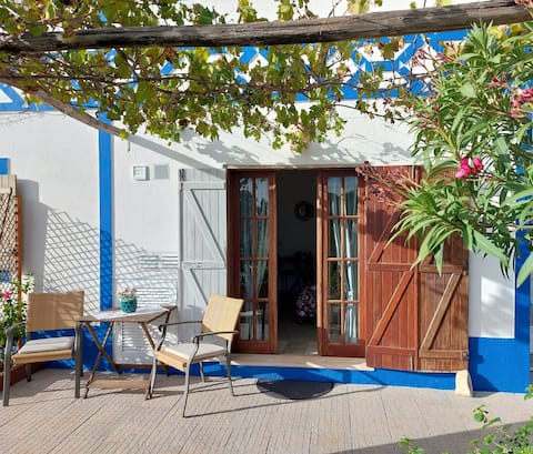 Top performing Airbnb: Studio Maló in União Das Freguesias De Lagoa E Carvoeiro