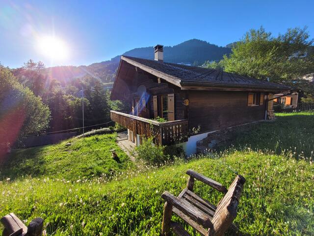 Chalet Leysin village