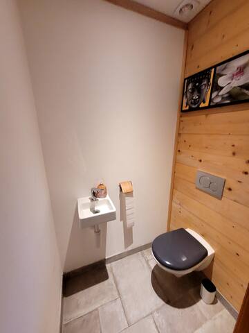 Chalet Leysin village gallery image 5