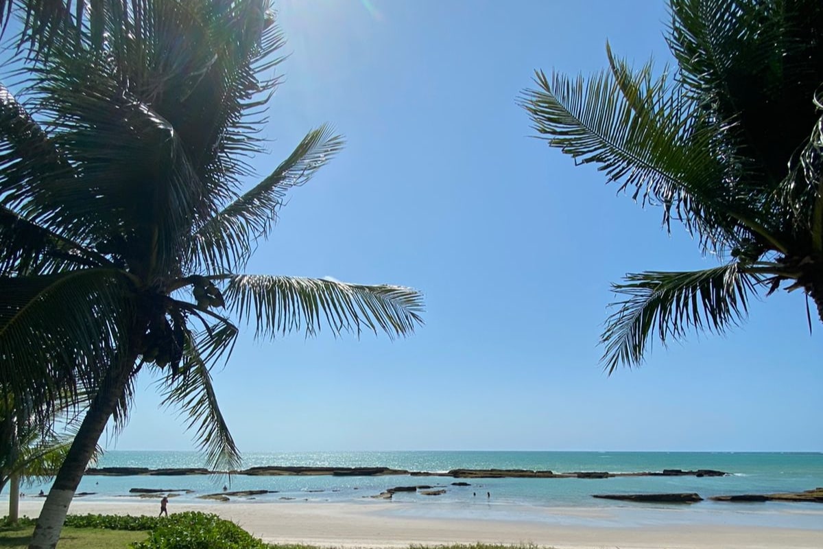 A serene beach scene is depicted, featuring gentle waves lapping at the shore. Tall palm trees frame the image against a clear blue sky, while people can be seen enjoying the calm waters in the distance.