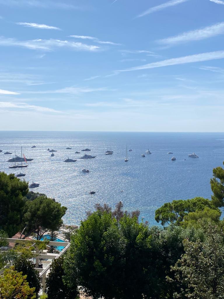 The image presents a panoramic view of the Mediterranean Sea, dotted with various boats and yachts. Lush green trees are visible in the foreground, framing the serene seascape. The sky is bright with light clouds, contributing to a tranquil atmosphere.